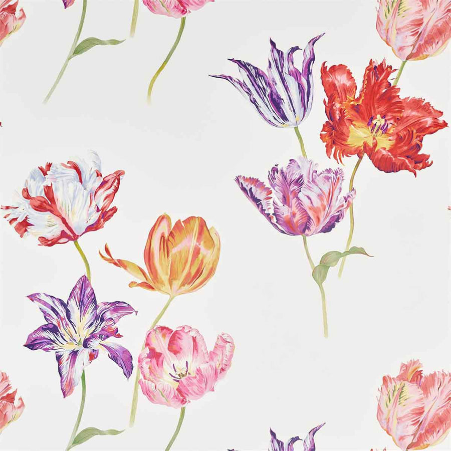 Tulipomania Botanical Wallpaper by Sanderson - 216666 | Modern 2 Interiors