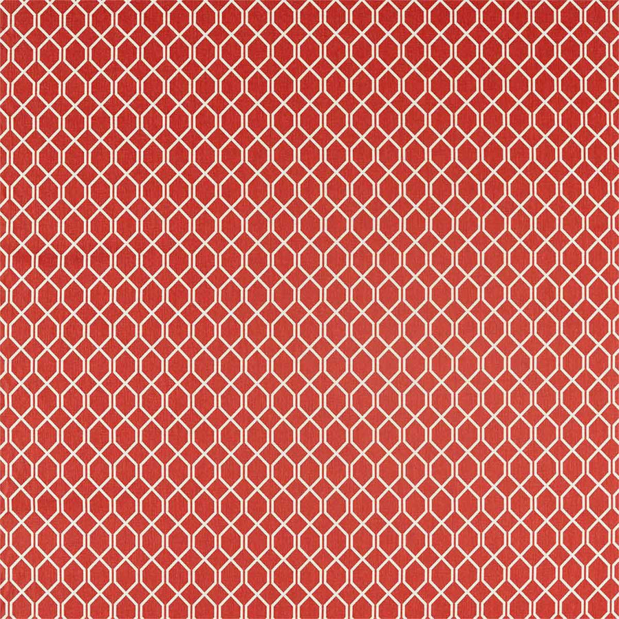 Botanic Trellis Bengal Red Fabric by Sanderson - 236788 | Modern 2 Interiors