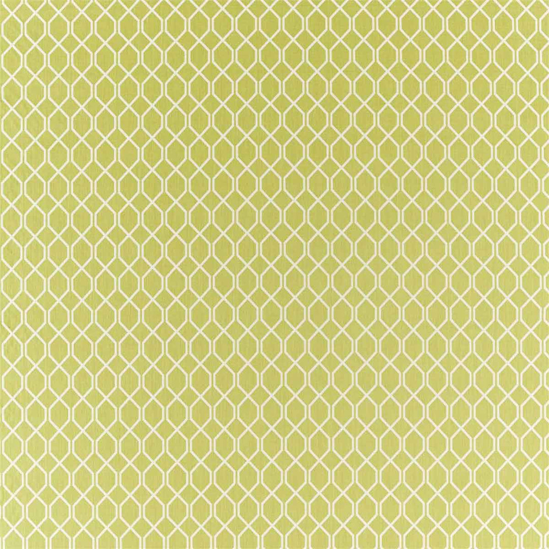Botanic Trellis Lime Fabric by Sanderson - 236790 | Modern 2 Interiors