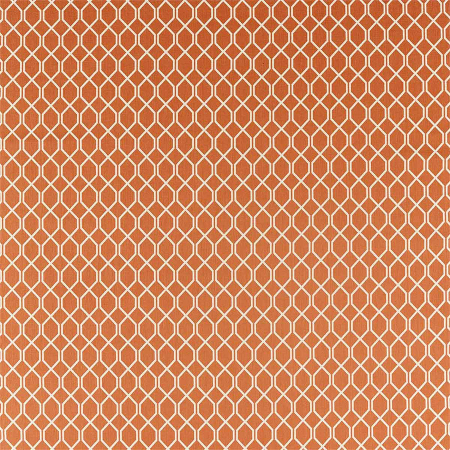 Botanic Trellis Papaya Fabric by Sanderson - 236791 | Modern 2 Interiors