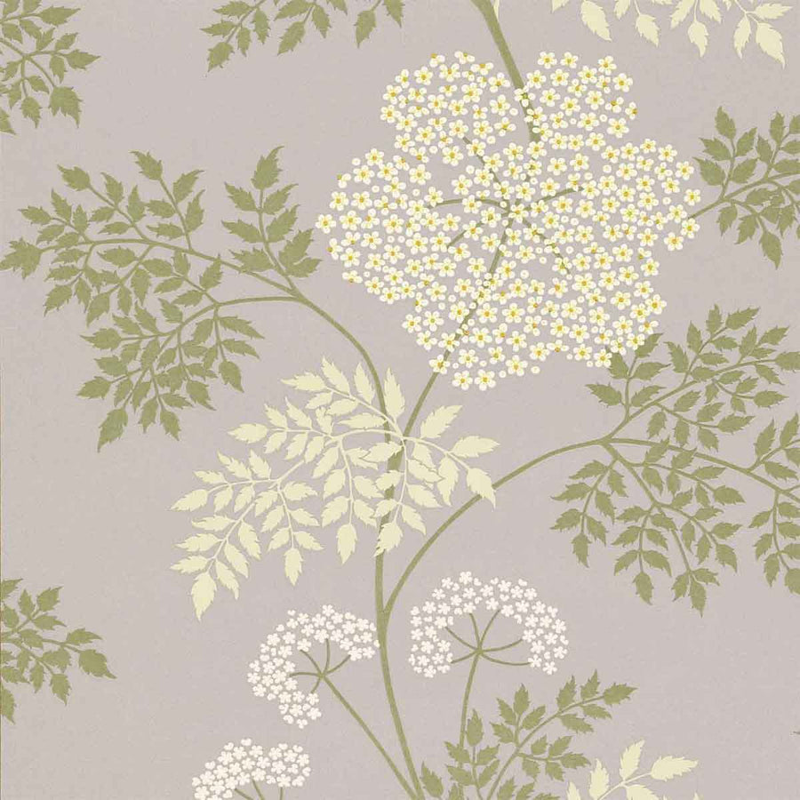 Cowparsley Amethyst Wallpaper by Sanderson - DOPWCO103 | Modern 2 Interiors