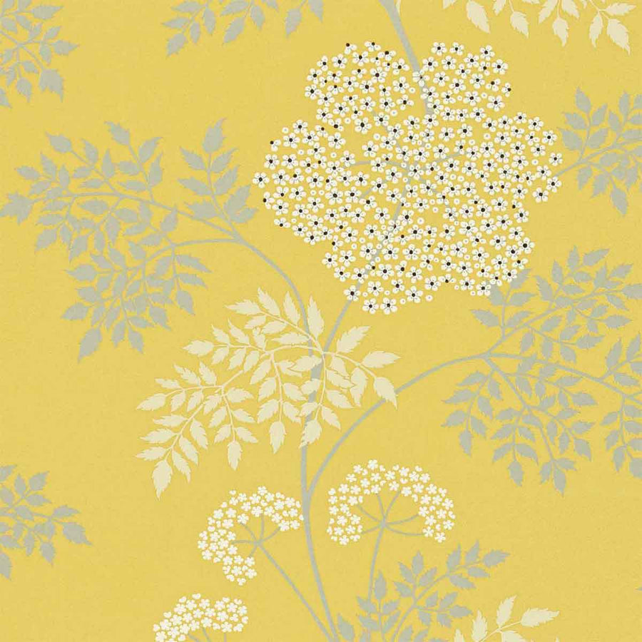 Cowparsley Chinese Yellow Wallpaper by Sanderson - DOPWCO105 | Modern 2 Interiors