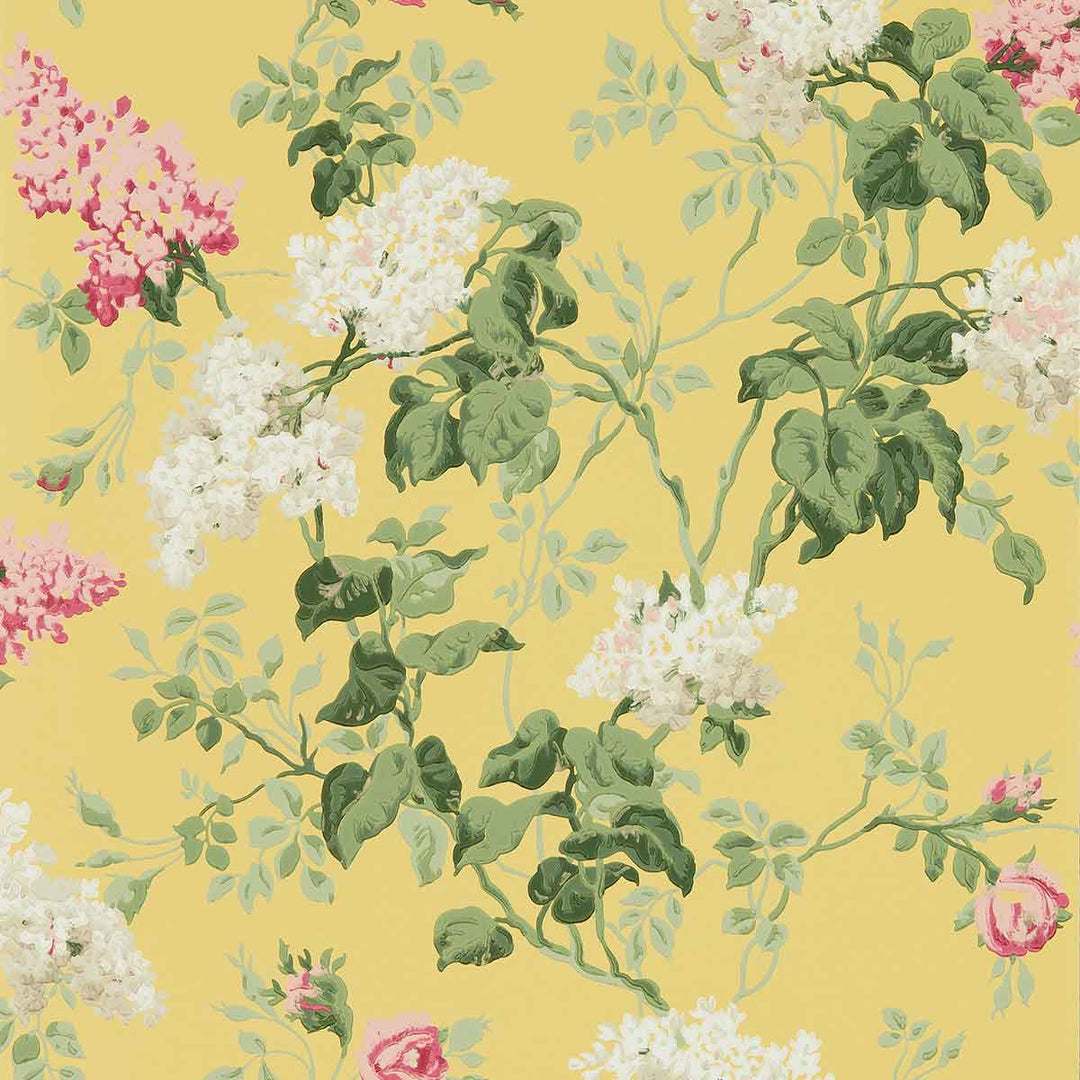 Sommerville Carmen & Daffodil Wallpaper by Sanderson - DOSW217051 | Modern 2 Interiors