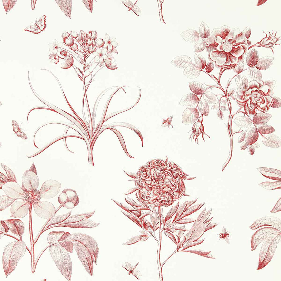 Etchings Amanpuri Red Wallpaper by Sanderson - DOSW217054 | Modern 2 Interiors