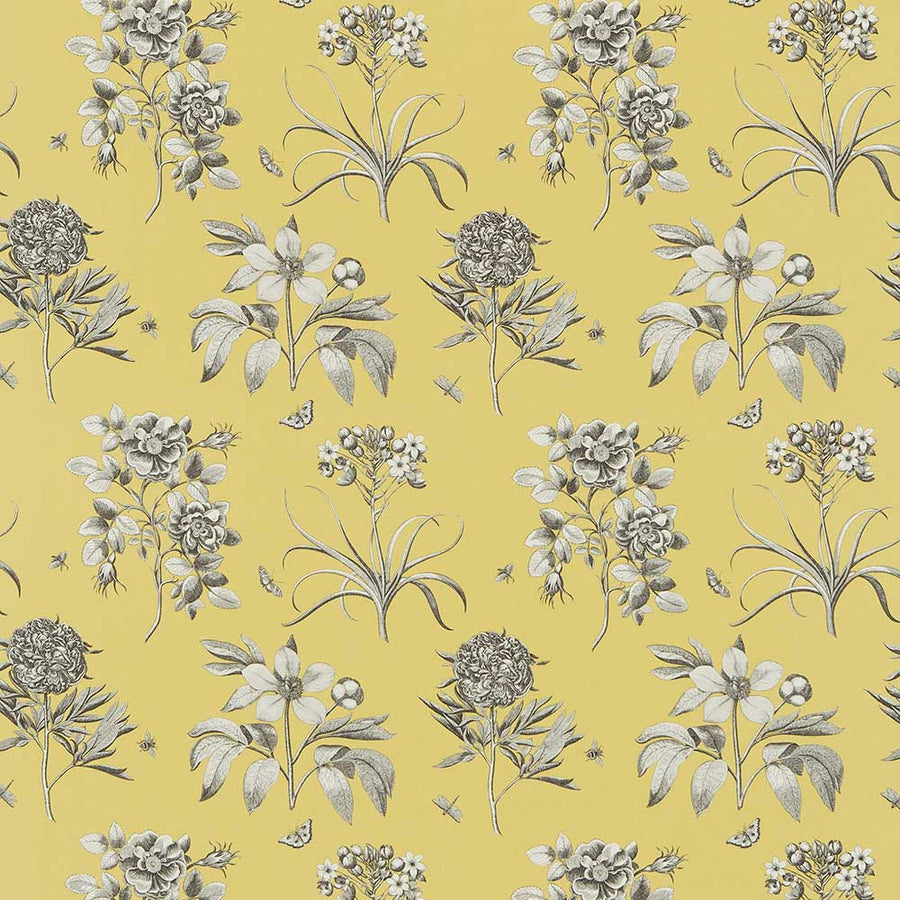 Etching & Roses Empire Yellow Fabric by Sanderson - DPFPET204 | Modern 2 Interiors