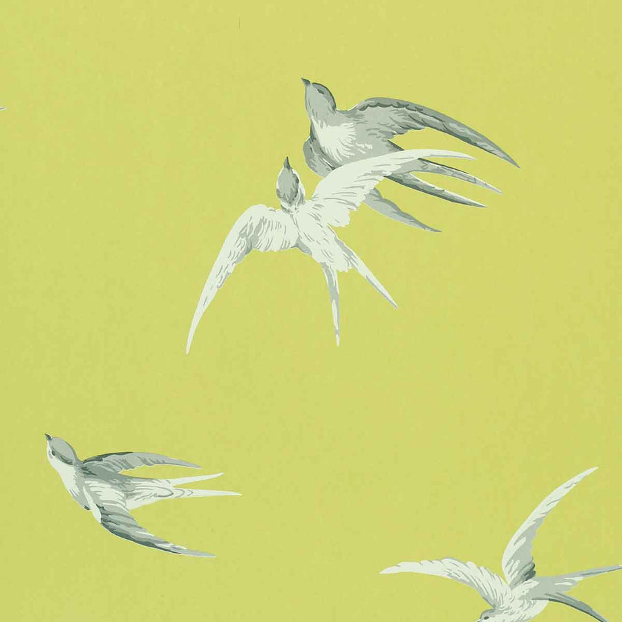 Swallows Lime Wallpaper by Sanderson - DVIWSW101 | Modern 2 Interiors