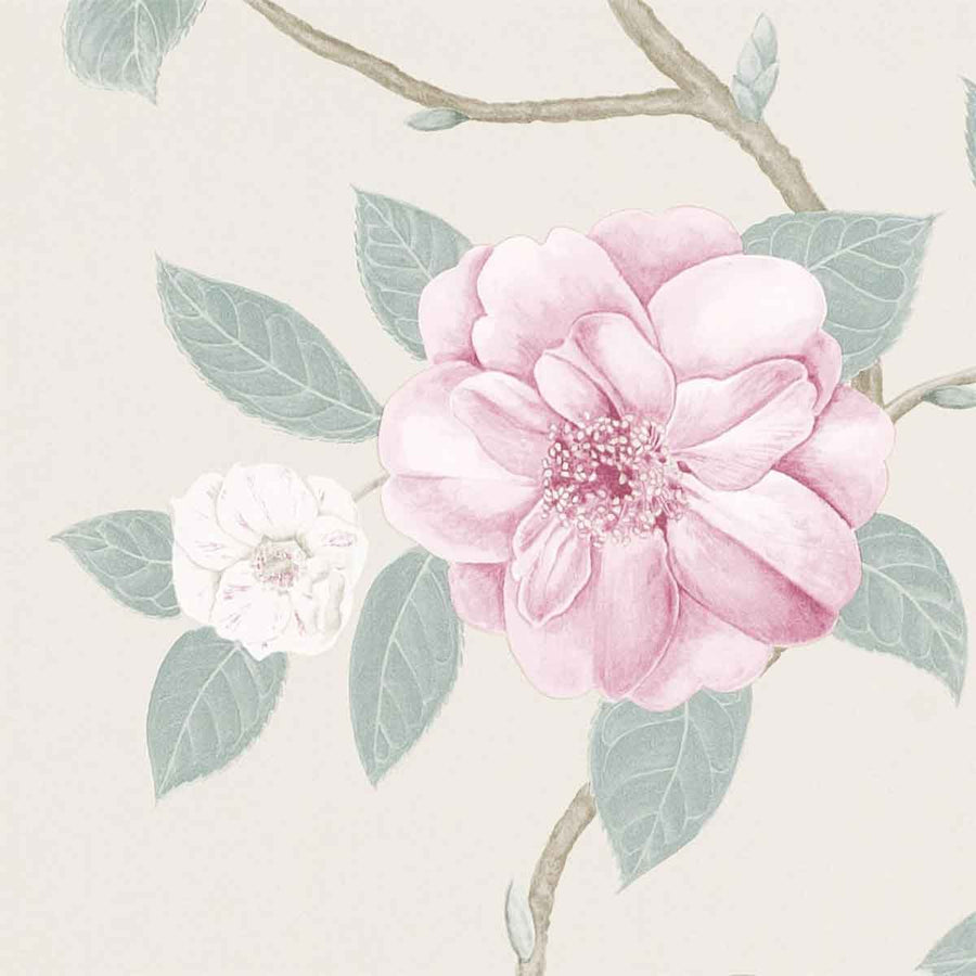 Christabel Rose & Pewter Wallpaper by Sanderson - 213376 | Modern 2 Interiors