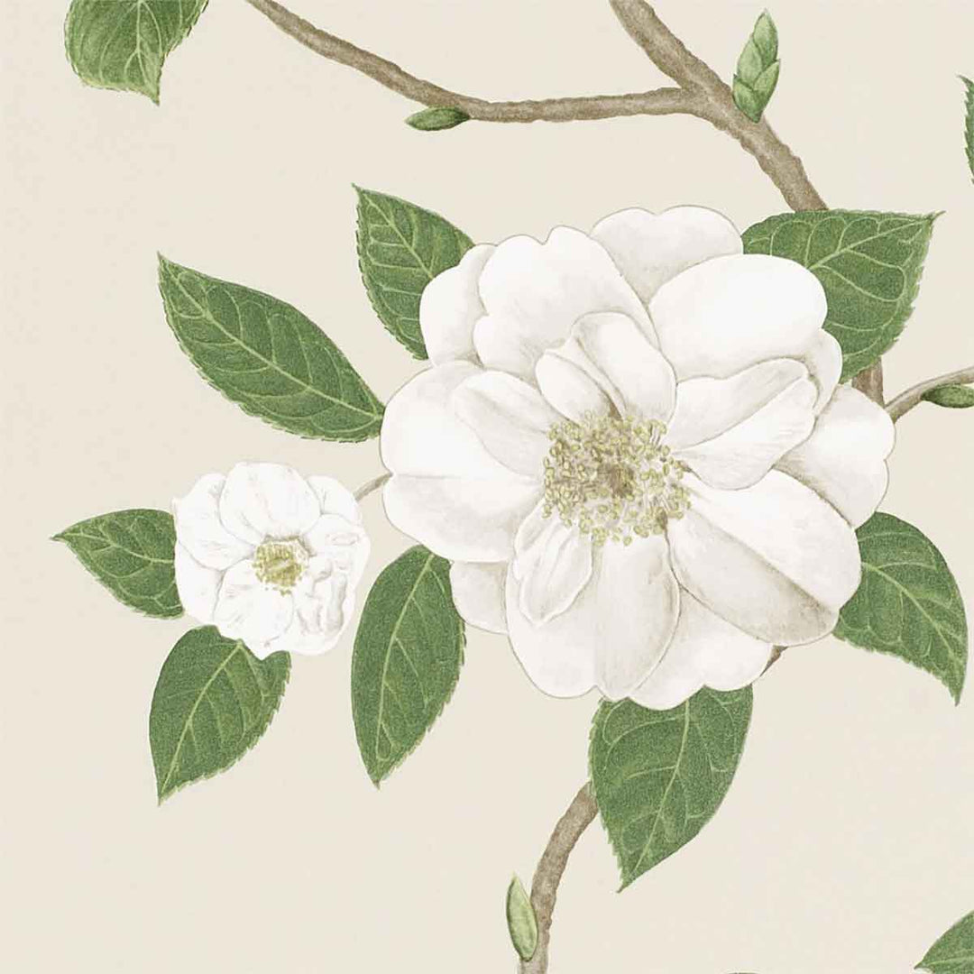 Christabel Ivory & Cream Wallpaper by Sanderson - 213380 | Modern 2 Interiors