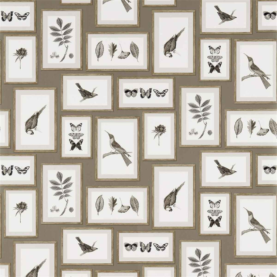 Picture Gallery Taupe & Sepia Wallpaper by Sanderson - 213397 | Modern 2 Interiors