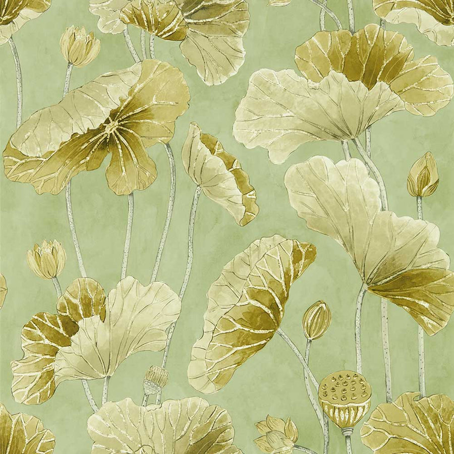 Lotus Leaf Oriental Green & Olive Wallpaper by Sanderson - 217126 | Modern 2 Interiors