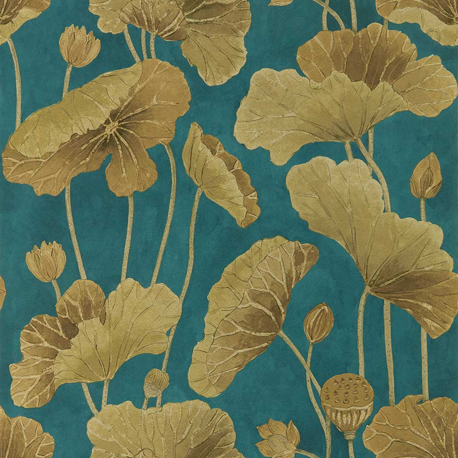 Lotus Leaf Midnight & Copper Wallpaper by Sanderson - 217127 | Modern 2 Interiors