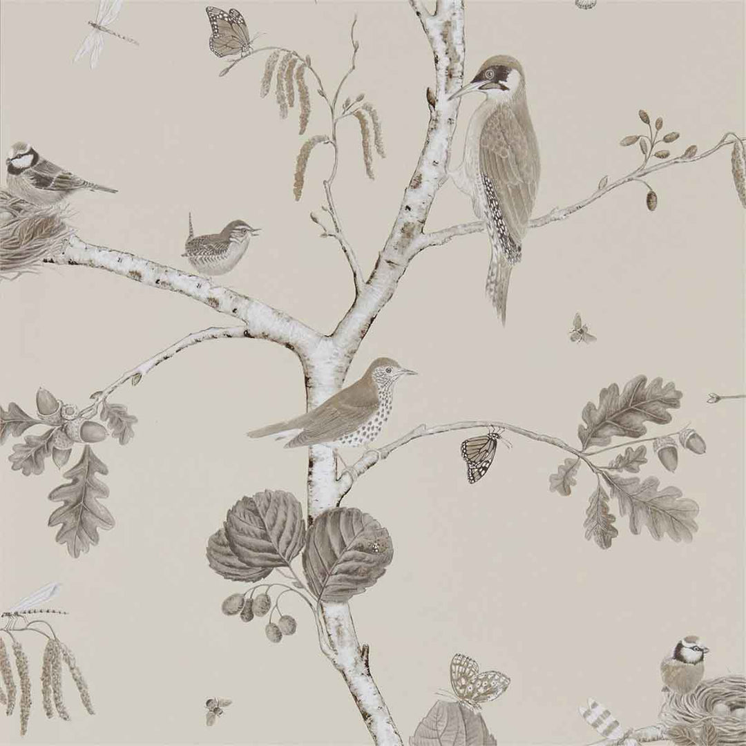 Woodland Chorus Sepia & Natural Wallpaper by Sanderson - 215704 | Modern 2 Interiors
