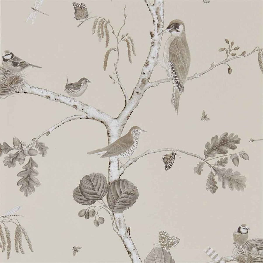 Woodland Chorus Sepia & Natural Wallpaper by Sanderson - 215704 | Modern 2 Interiors
