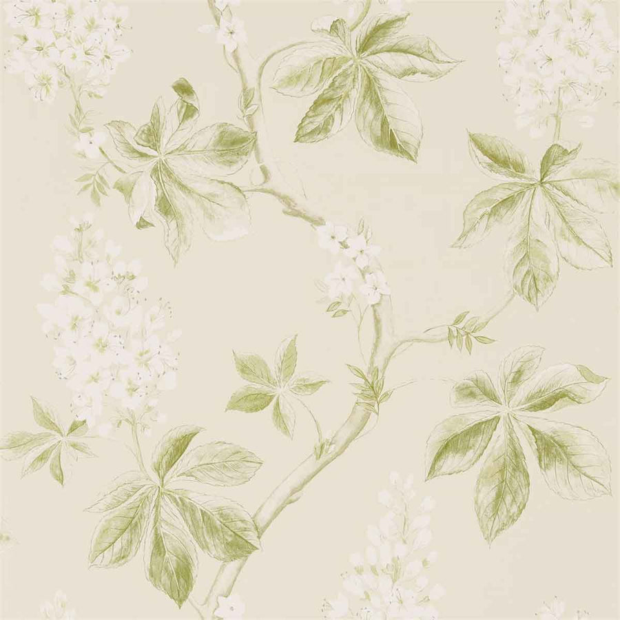 Chestnut Tree Lemon & Lettuce Wallpaper by Sanderson - 215707 | Modern 2 Interiors