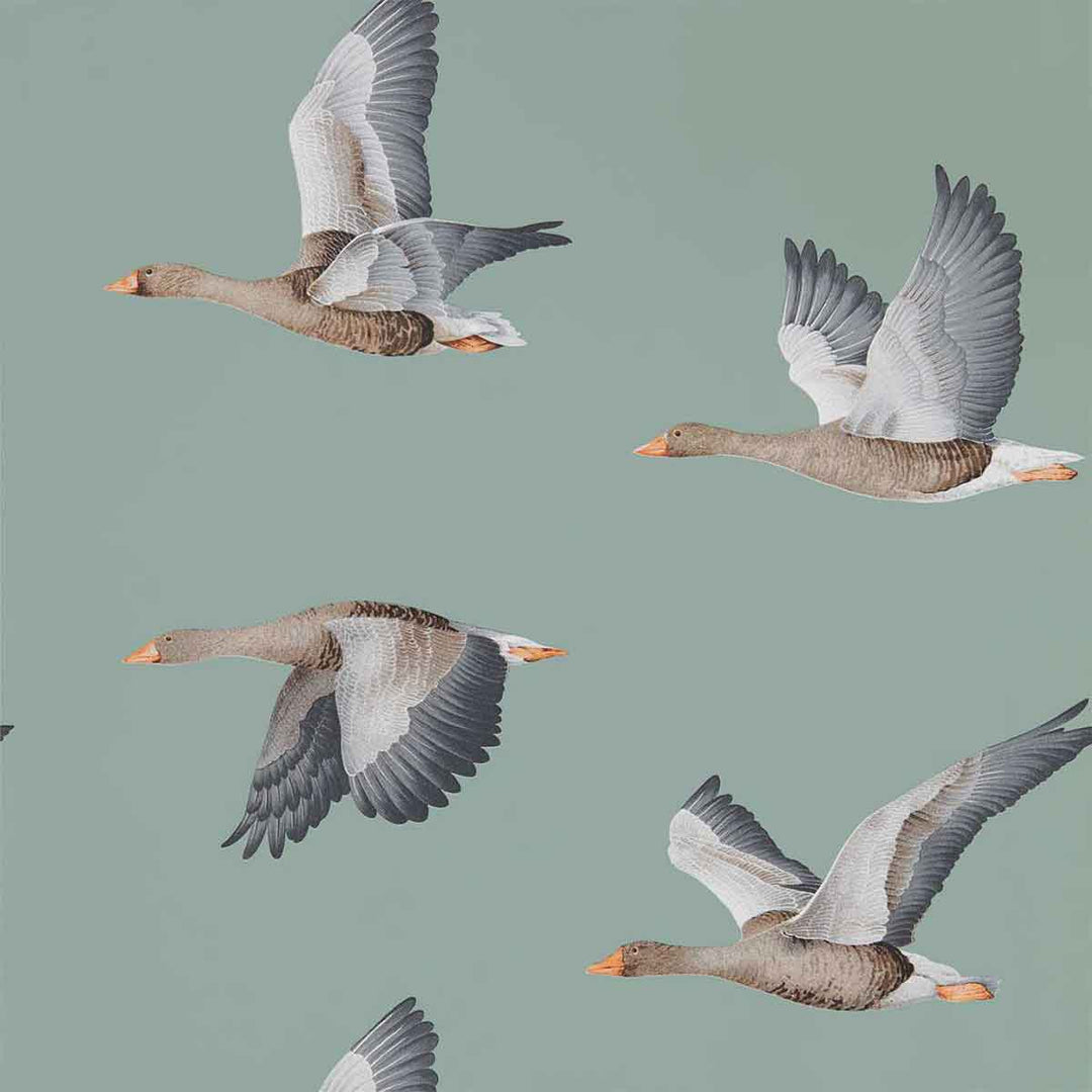 Elysian Geese Blue Clay Wallpaper by Sanderson - 216610 | Modern 2 Interiors