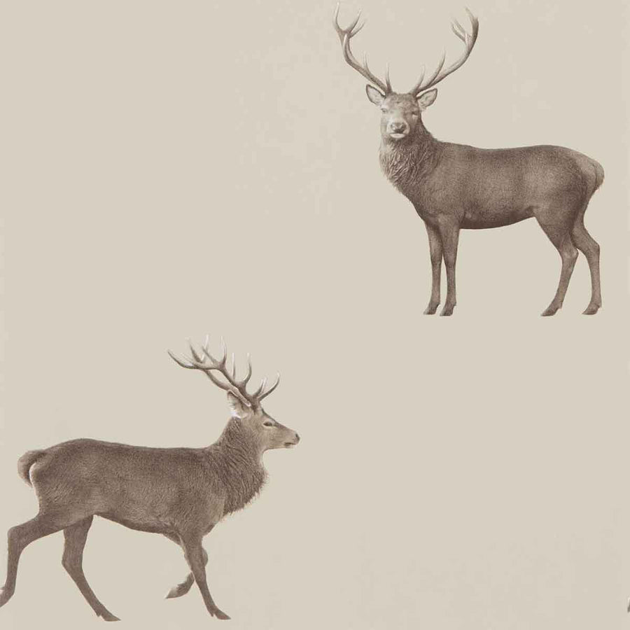 Evesham Deer Birch Wallpaper by Sanderson - 216618 | Modern 2 Interiors
