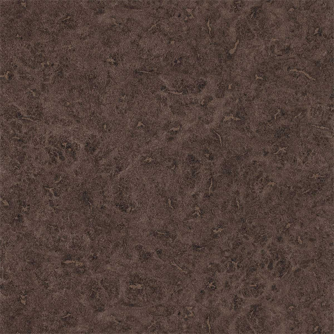 Lacquer Walnut Wallpaper by Anthology - 111133 | Modern 2 Interiors