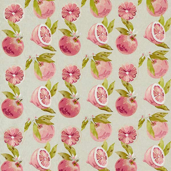 Agrias Grapefruit Fabric by Clarke & Clarke - F1506/01 | Modern 2 Interiors