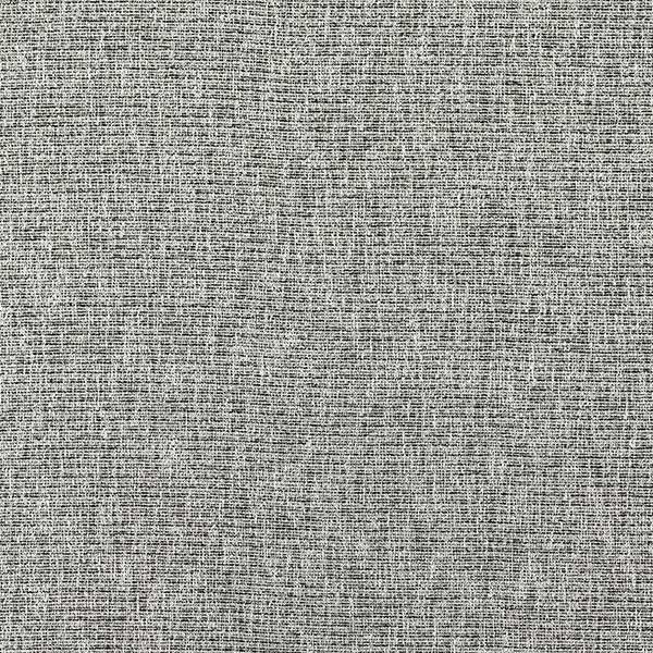 Avani Charcoal Fabric by Clarke & Clarke - F1527/02 | Modern 2 Interiors
