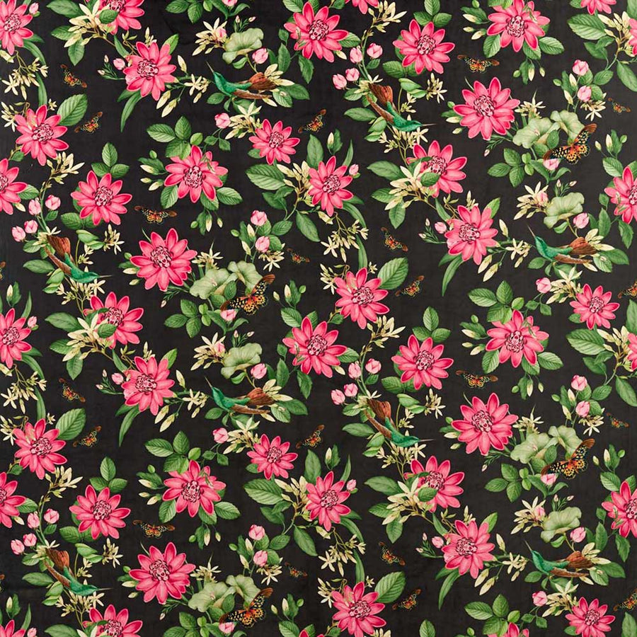 Pink Lotus Velvet Noir Fabric by Clarke & Clarke - F1588/02 | Modern 2 Interiors