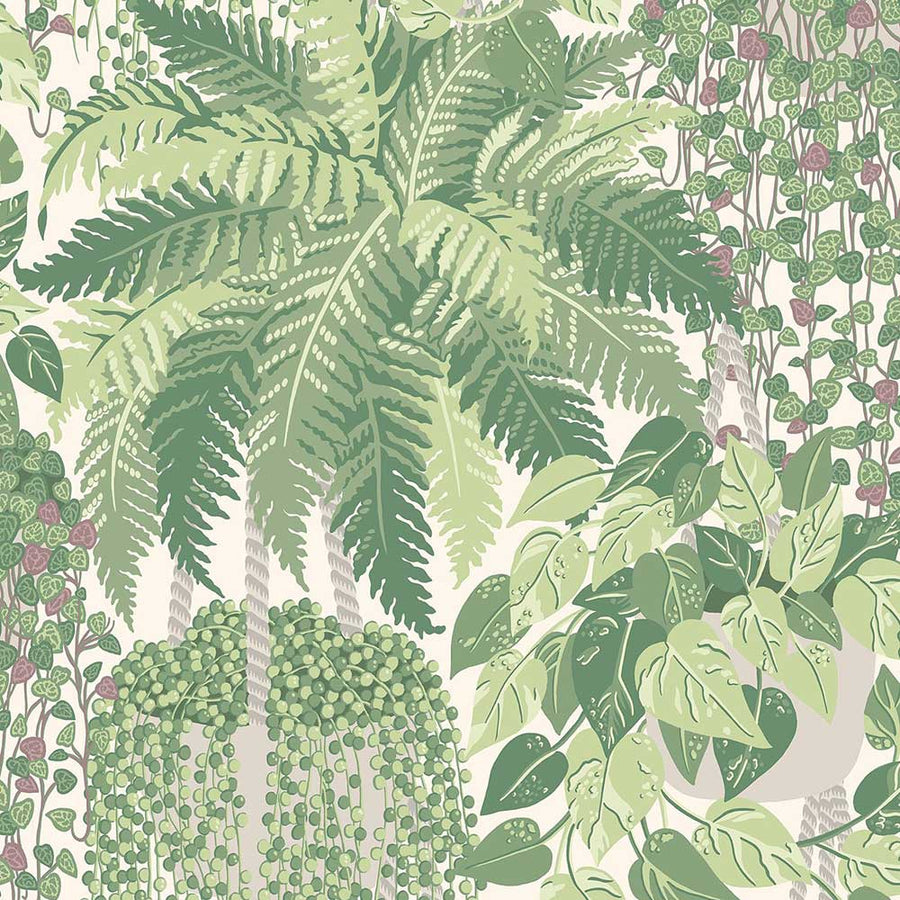 Fern Wallpaper by Cole & Son - 115/7021 | Modern 2 Interiors