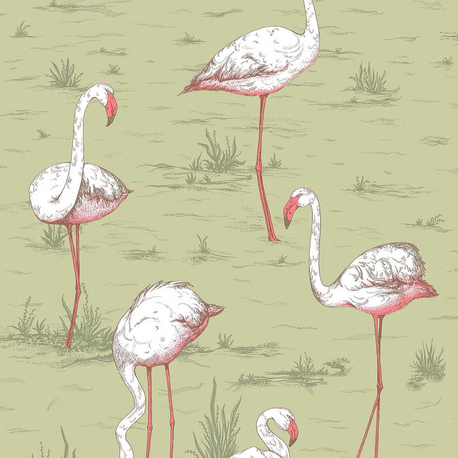 Flamingos Icon Wallpaper by Cole & Son - 112/11038 | Modern 2 Interiors