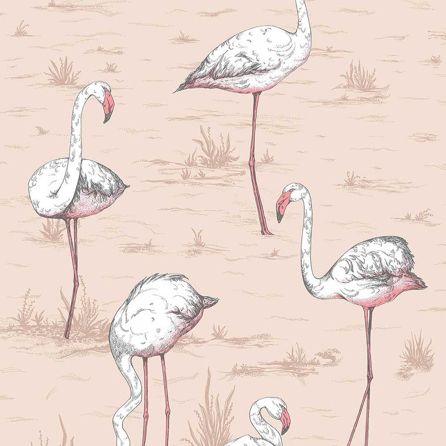 Flamingos Icon Wallpaper by Cole & Son - 112/11039 | Modern 2 Interiors