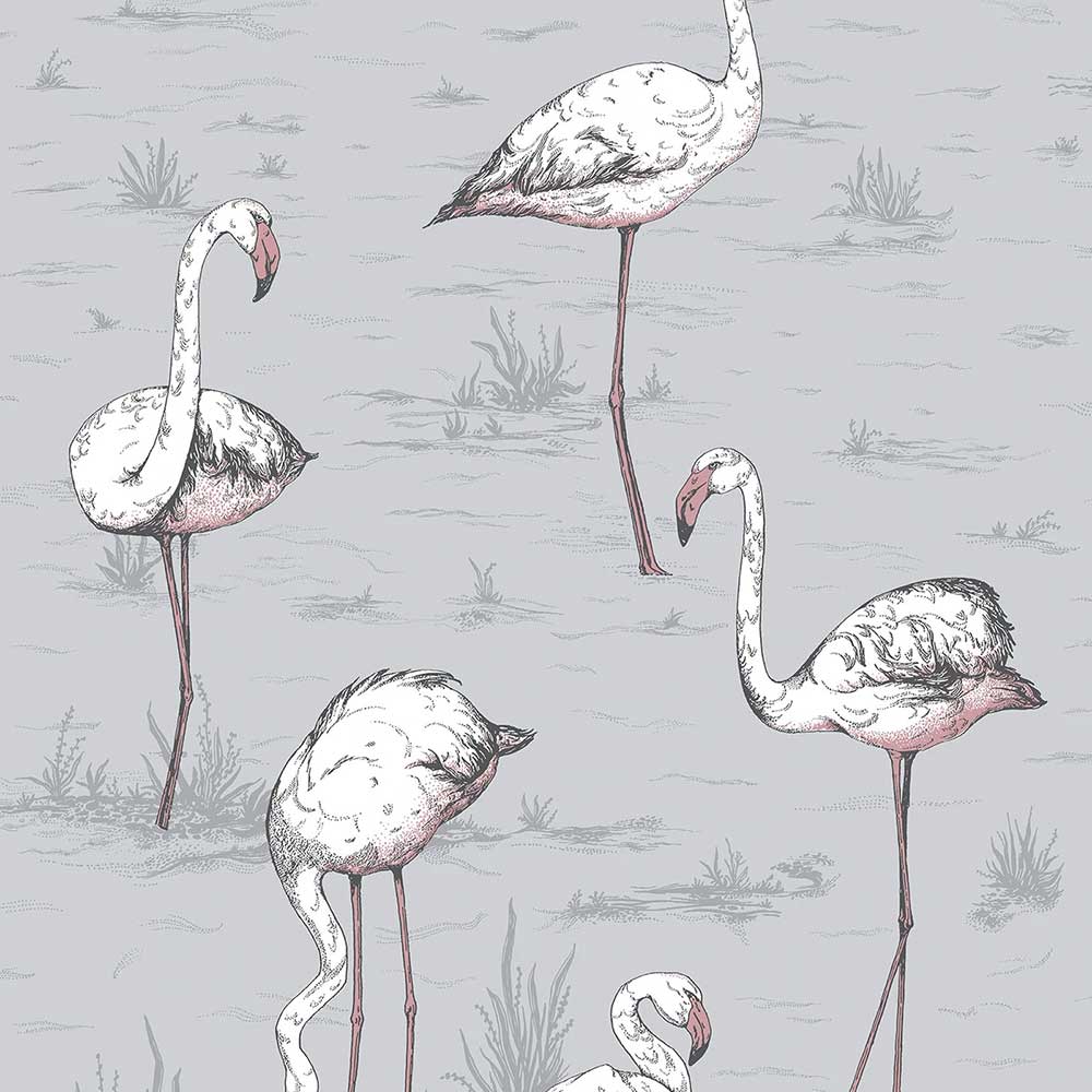 Flamingos Icon Wallpaper by Cole & Son - 112/11040 | Modern 2 Interiors