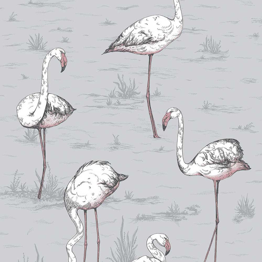 Flamingos Icon Wallpaper by Cole & Son - 112/11040 | Modern 2 Interiors