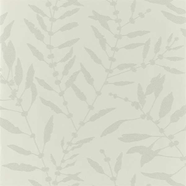 Harlequin Chaconia Shimmer Wallpaper - Sand - 111659 | Modern 2 Interiors