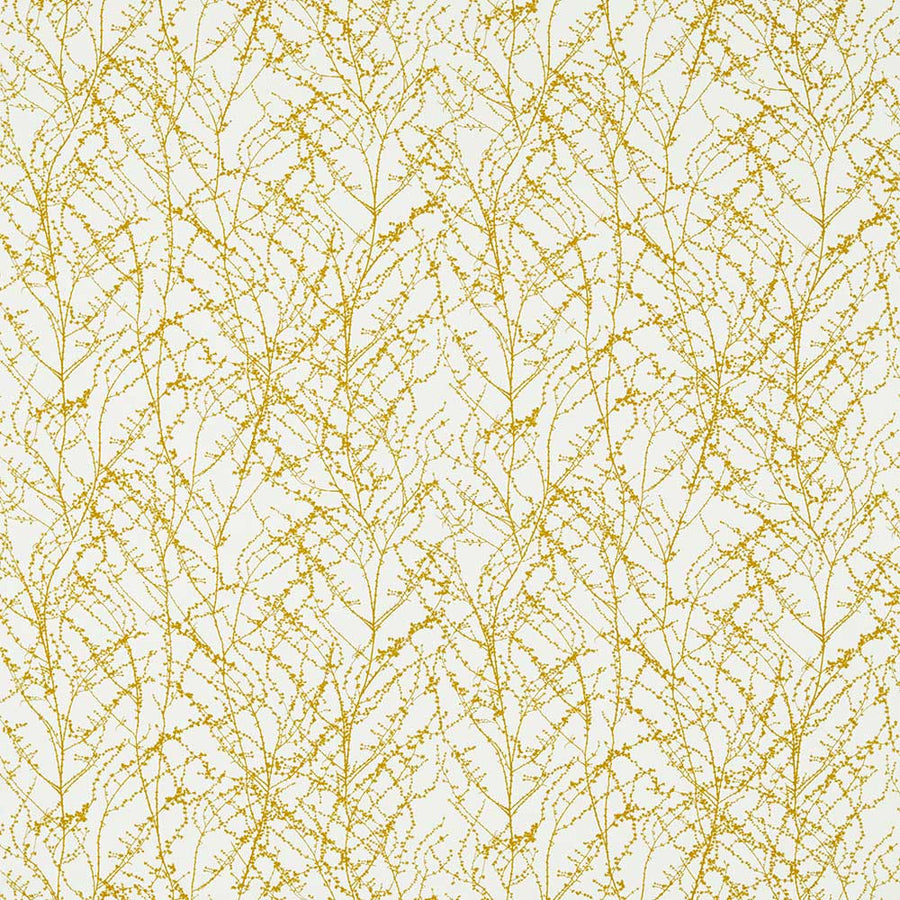 Seriphium Ochre Fabric by Harlequin - 120626 | Modern 2 Interiors