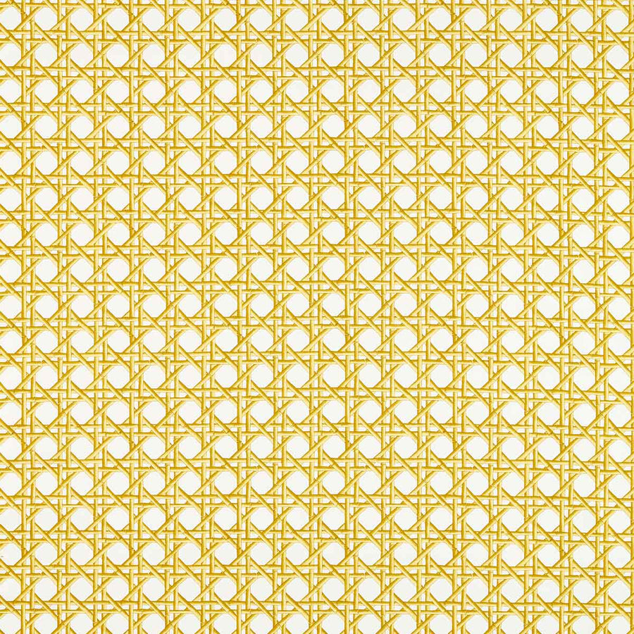 Love Lace Honey & Paper Lantern Fabric by Harlequin - 121106 | Modern 2 Interiors