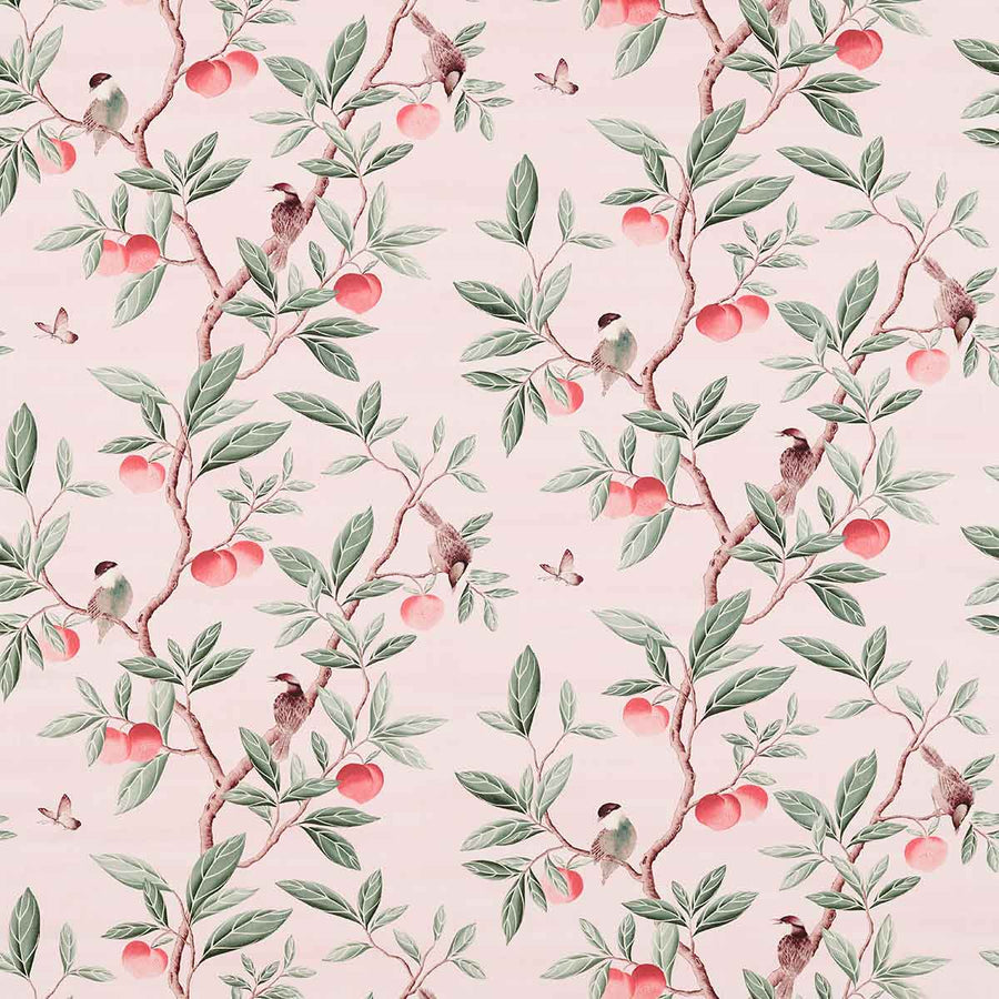 Ella Powder & Sage & Peach Fabric by Harlequin - 121112 | Modern 2 Interiors