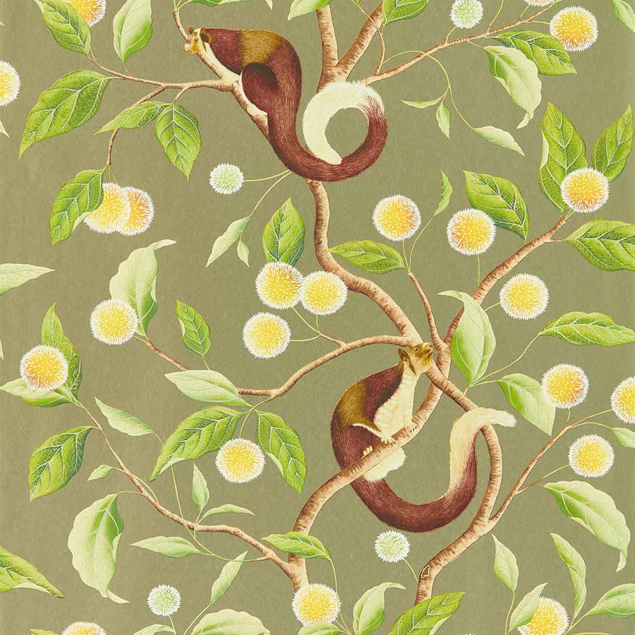 Nellie Gilver & Meadow Wallpaper by Harlequin - 112904 | Modern 2 Interiors