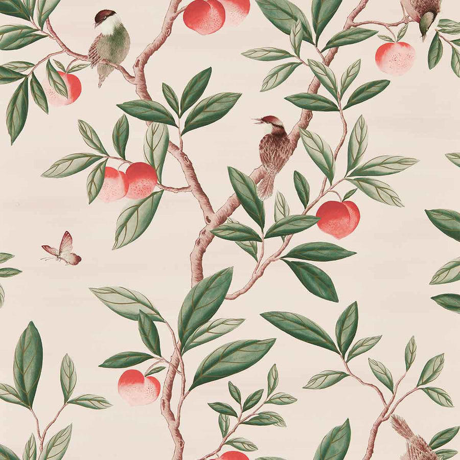 Ella Powder & Sage & Peach Wallpaper by Harlequin - 112907 | Modern 2 Interiors