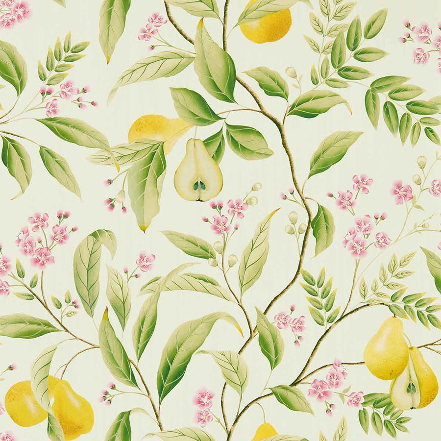 Marie Fig Leaf & Honey & Blossom Wallpaper by Harlequin - 112909 | Modern 2 Interiors