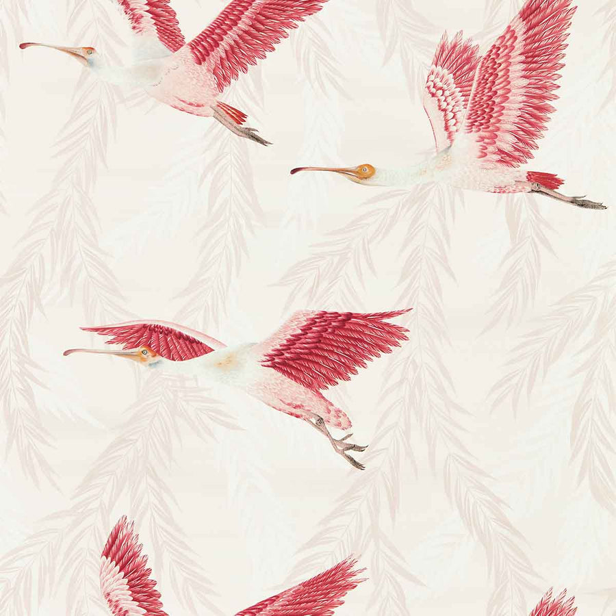 Valentina Blush & Blossom Wallpaper by Harlequin - 112911 | Modern 2 Interiors