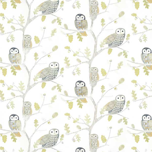 Harlequin Little Owls Wallpaper - Kiwi - 112627 | Modern 2 Interiors