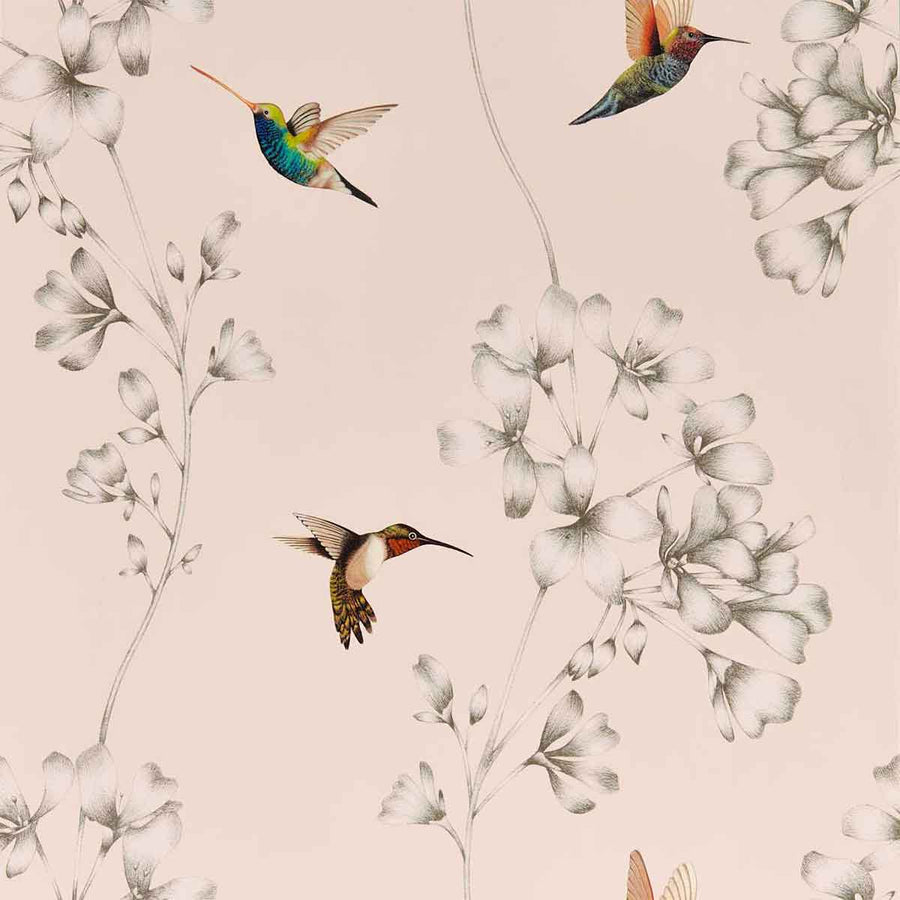 Amazilia Powder & Pearl Wallpaper by Harlequin - 112606 | Modern 2 Interiors