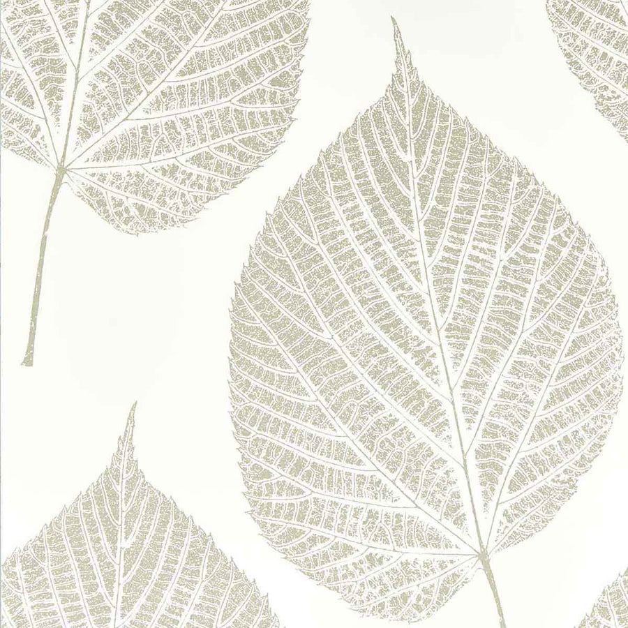 Leaf Chalk & Silver Wallpaper by Harlequin - 112609 | Modern 2 Interiors
