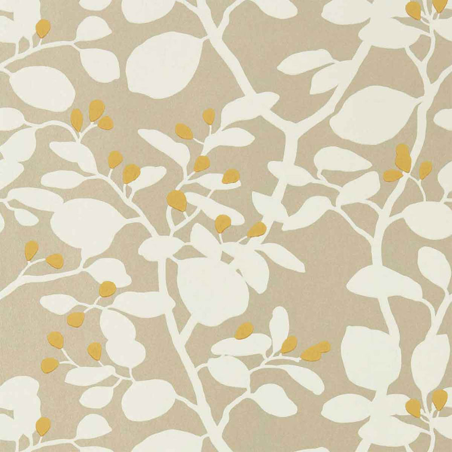 Ardisia Soft Focus & Oyster & Gold Wallpaper by Harlequin - 112773 | Modern 2 Interiors