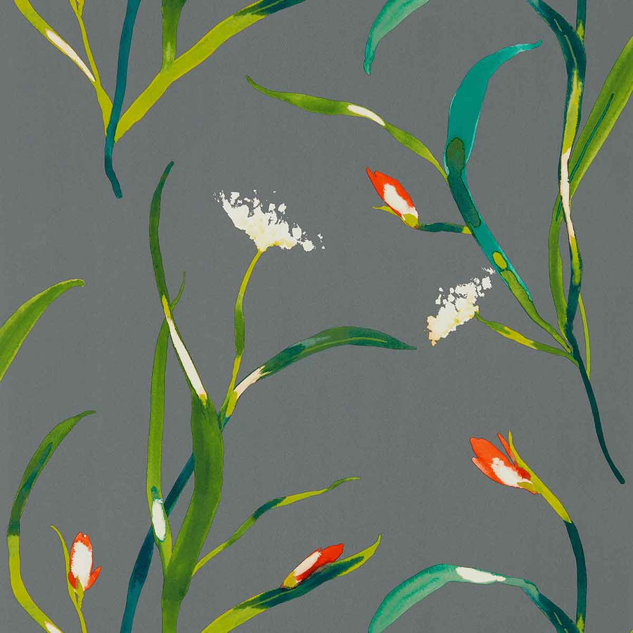 Saona Kiwi & Charcoal Wallpaper by Harlequin - 111758 | Modern 2 Interiors