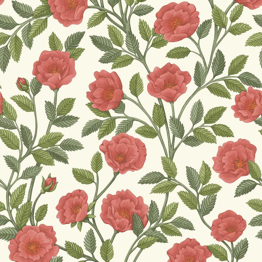 Hampton Roses Wallpaper by Cole & Son - 118/7013 | Modern 2 Interiors
