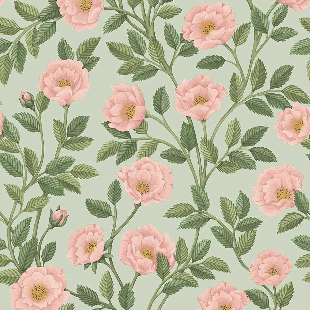 Hampton Roses Wallpaper by Cole & Son - 118/7014 | Modern 2 Interiors