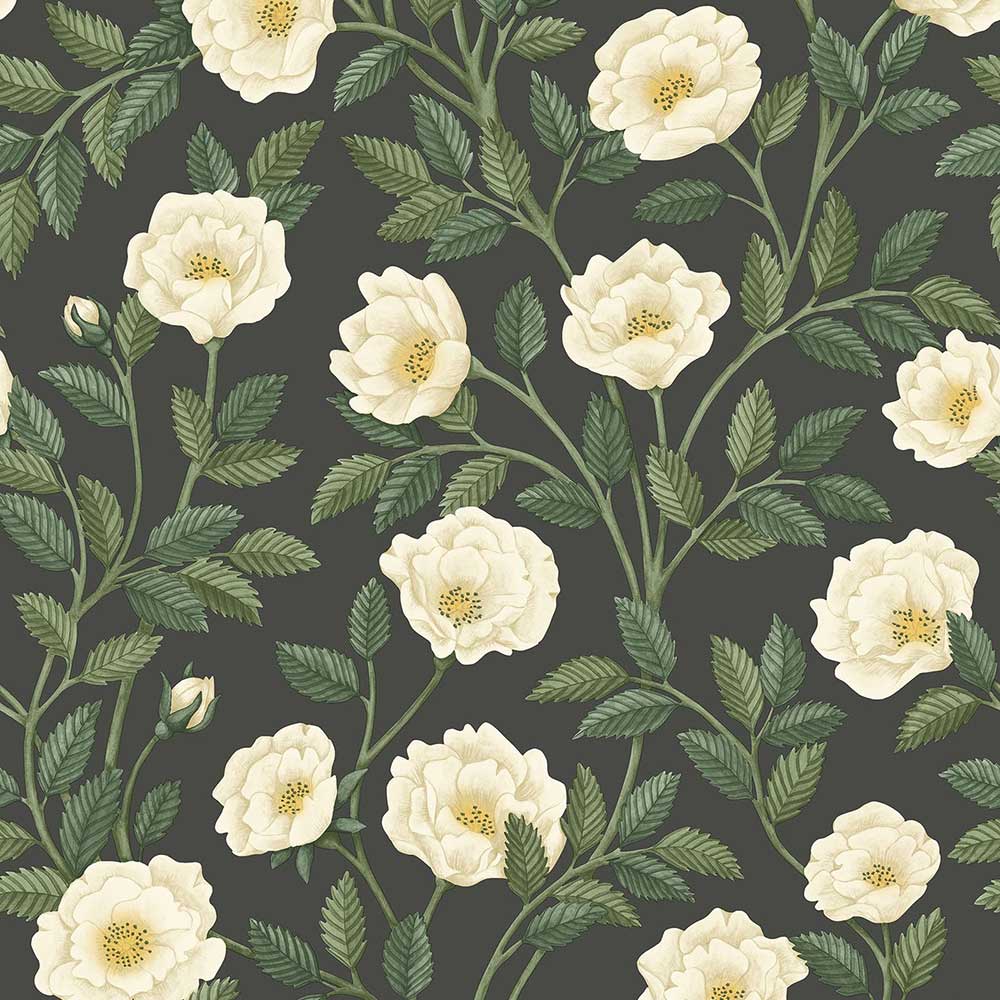 Hampton Roses Wallpaper by Cole & Son - 118/7016 | Modern 2 Interiors