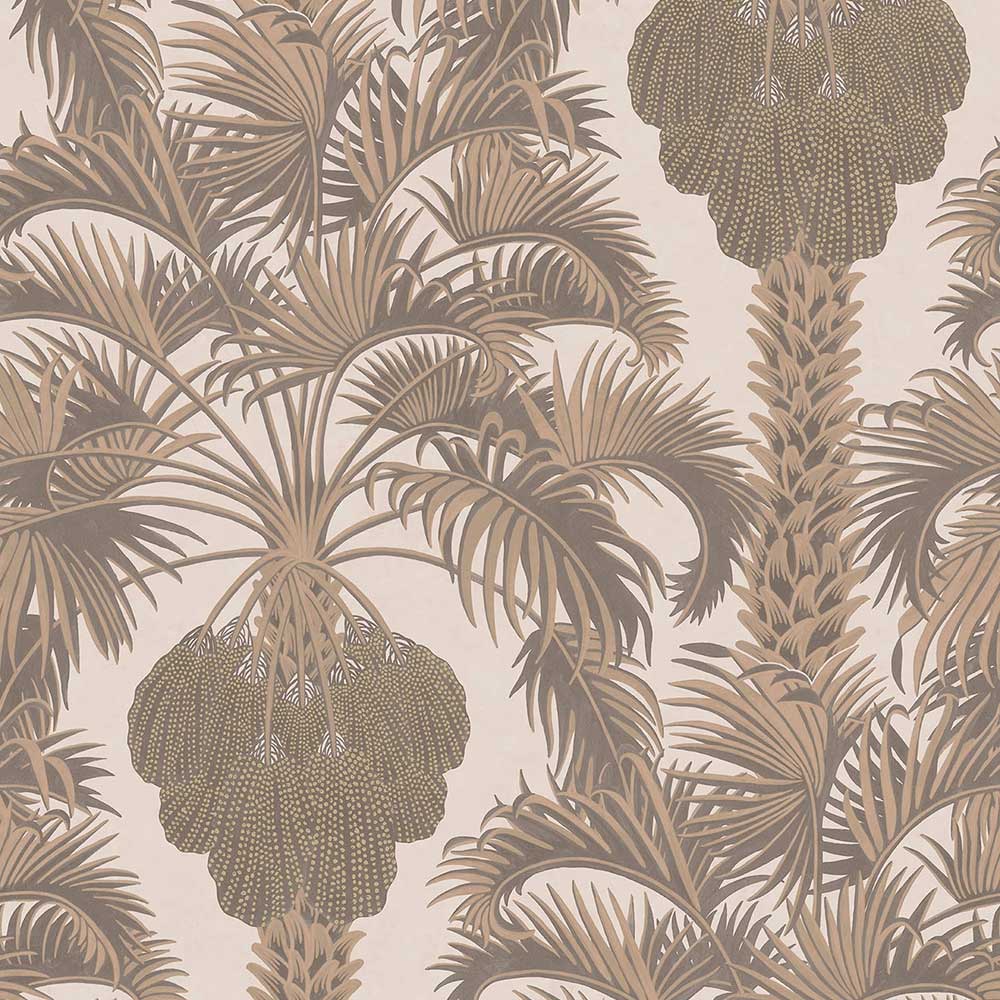 Hollywood Palm Wallpaper by Cole & Son - 113/1002 | Modern 2 Interiors