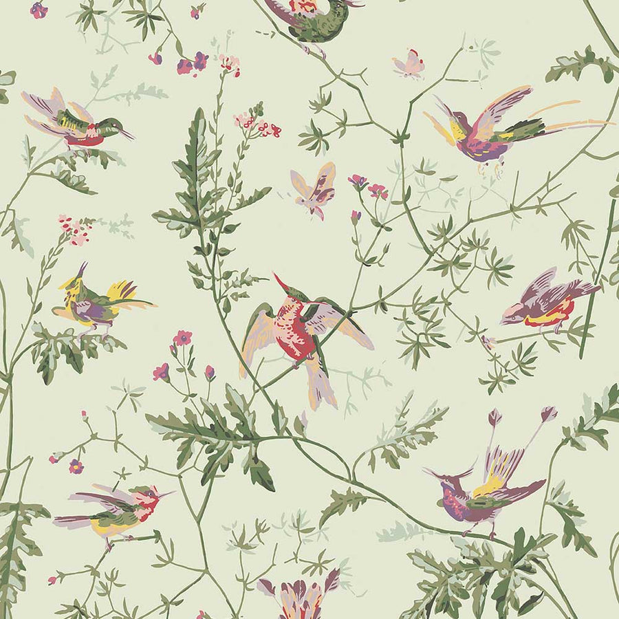 Hummingbirds Archive Anthology Wallpaper by Cole & Son - 100/14070 | Modern 2 Interiors