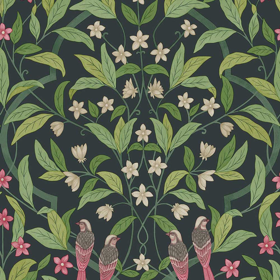 Jasmin & Serin Symphony Wallpaper by Cole & Son - 117/10028 | Modern 2 Interiors
