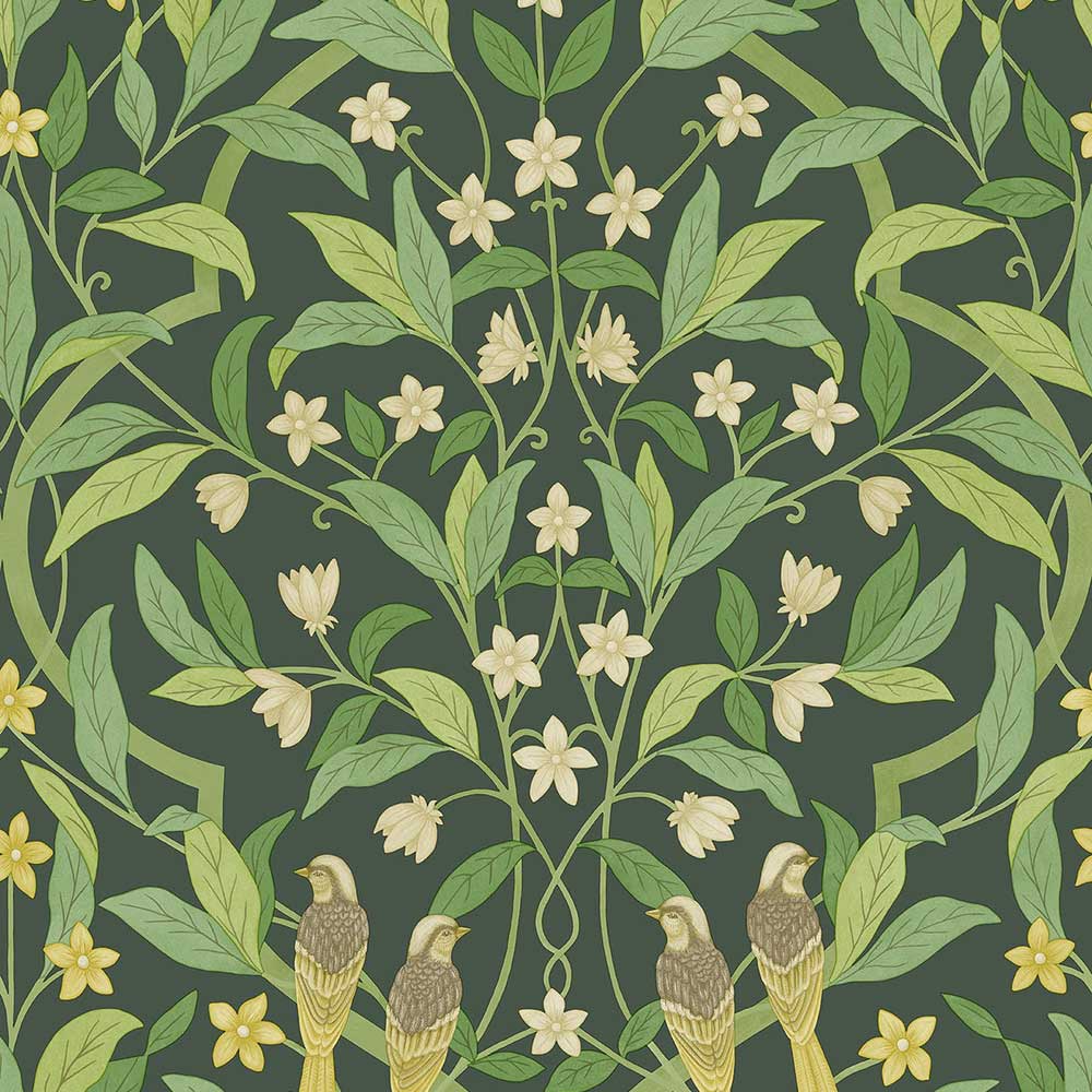 Jasmin & Serin Symphony Wallpaper by Cole & Son - 117/10029 | Modern 2 Interiors