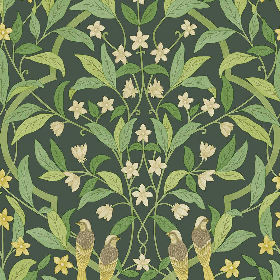 Jasmin & Serin Symphony Wallpaper by Cole & Son - 117/10029 | Modern 2 Interiors